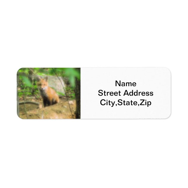 Étiquette de l'adresse de retour du petit renard (Devant)