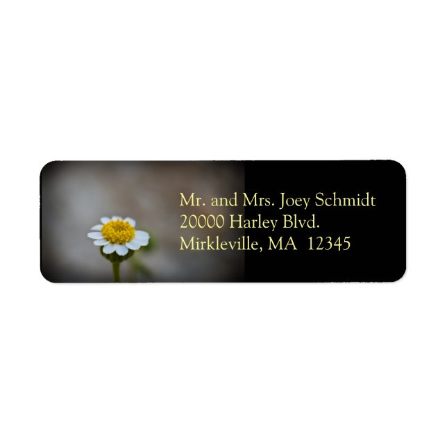 Étiquette de l'adresse de retour fleur sauvage 3 (Devant)