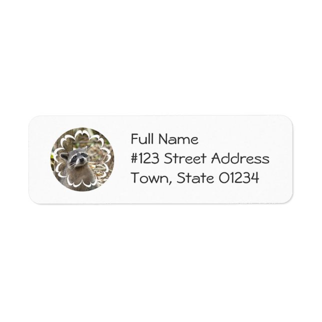 Étiquette de messagerie raccoon masqué (Devant)