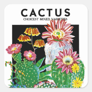 Étiquette de paquets de semences Cactus