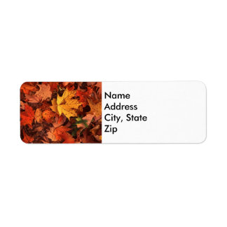 étiquette de retour d'adresse d'automne