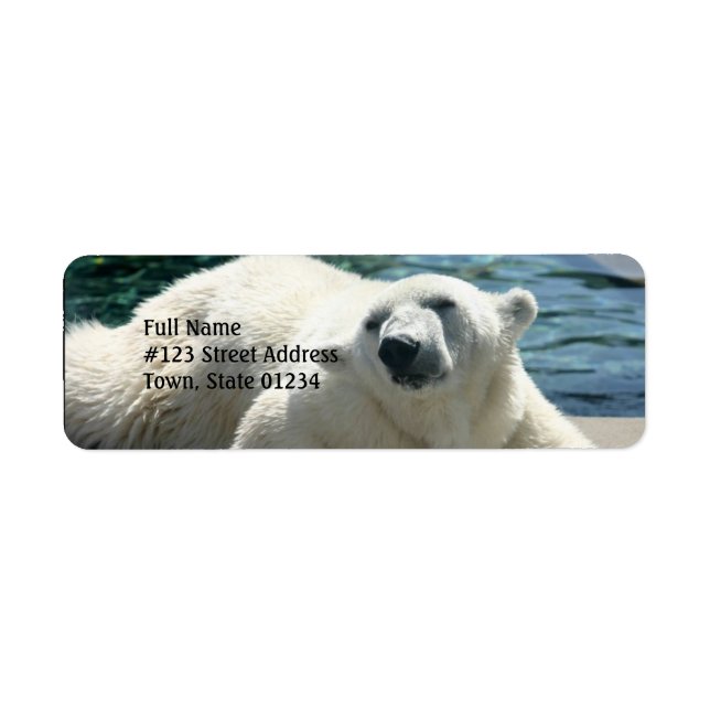 Étiquette de retour de l'ours polaire arctique (Devant)