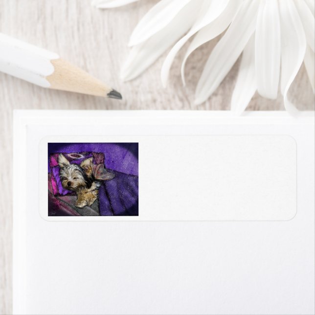 Étiquette de retour du souvenir de la perte de Yor (En situation)