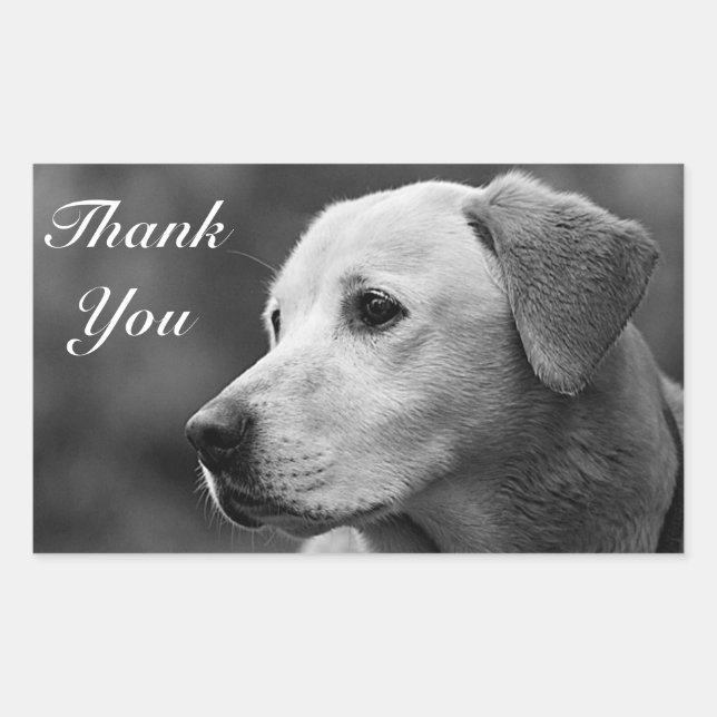Étiquette de trieur du Labrador jaune Merci (Devant)