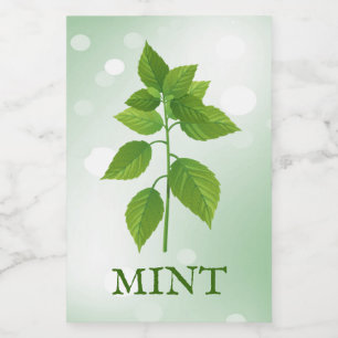 Étiquette des Herbes de menthe