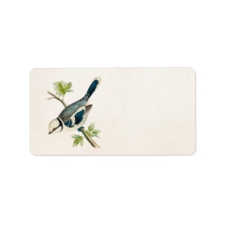 Étiquette Dessin d'oiseaux chanteurs vintages des années 180