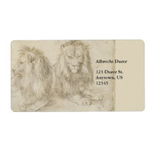 Deux lions assis par Albrecht Durer