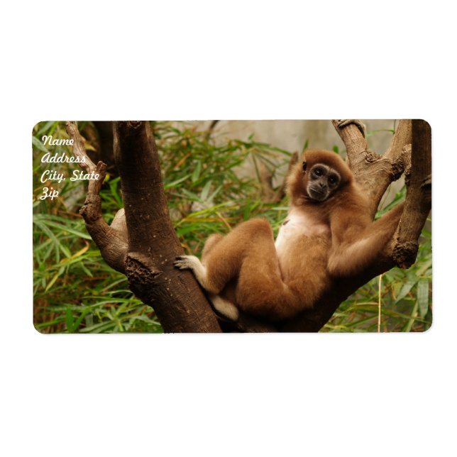 Étiquette d'expédition de singe (Devant)