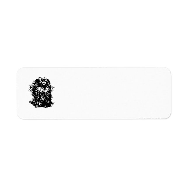 Étiquette Dignité Pékinois (Devant)