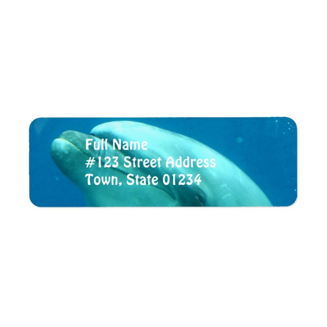Étiquette Dolphin sous-marin (Devant)