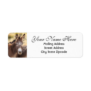 Étiquette Donkey Return Address
