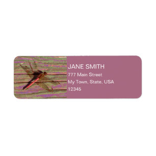 Étiquette Dragonfly