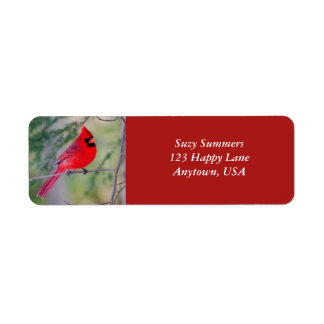 Étiquette du contraste cardinal