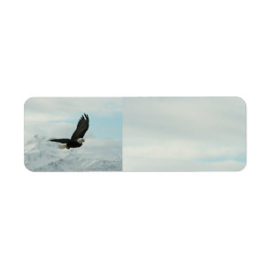 Étiquette Eagle chauve et montagnes