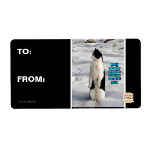 Étiquette Élevé par des pingouins