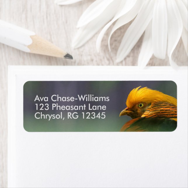 Étiquette Émergent du vert : faisan d'or (En situation)