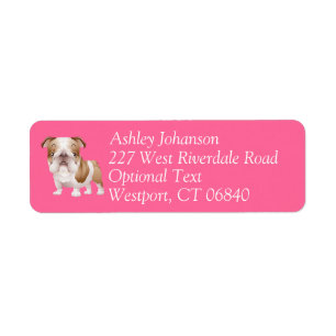 Étiquette English Bulldog Puppy Dog Return Adresse l Étique