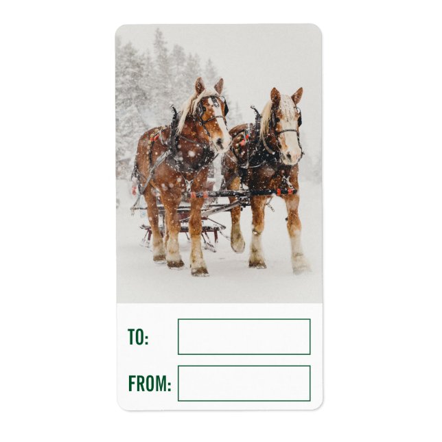 Étiquette Équipe de Belgique de cheval Wintery Christmas Sce (Devant)