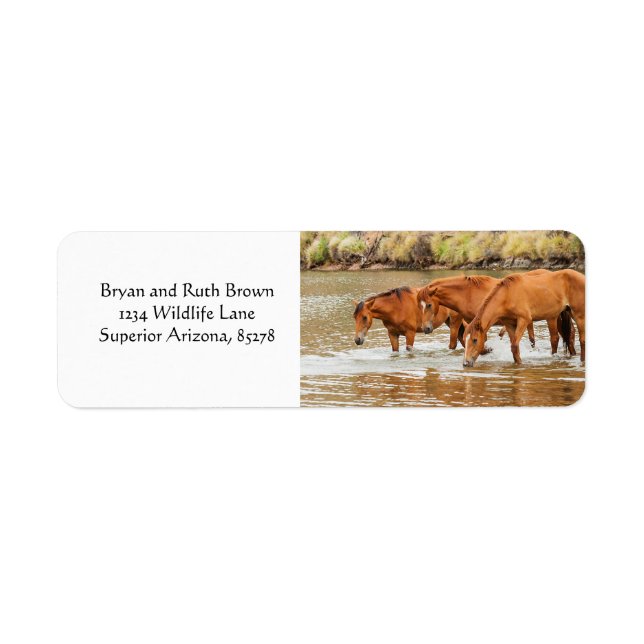 Étiquette Famille de chevaux Brown à la rivière (Devant)
