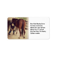 Farrier - Beau Cheval Photo Hoof Trim