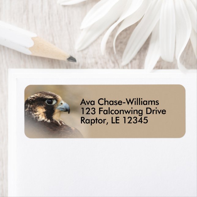 Étiquette Faucon pèlerin désigné Oiseau de proie (En situation)