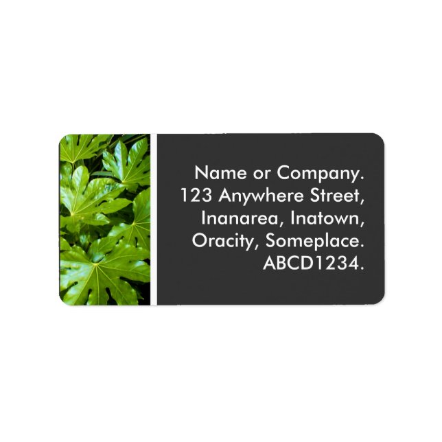 Étiquette Feuille (Devant)