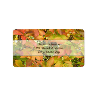 Étiquette Feuilles de la vigne sauvage d'automne