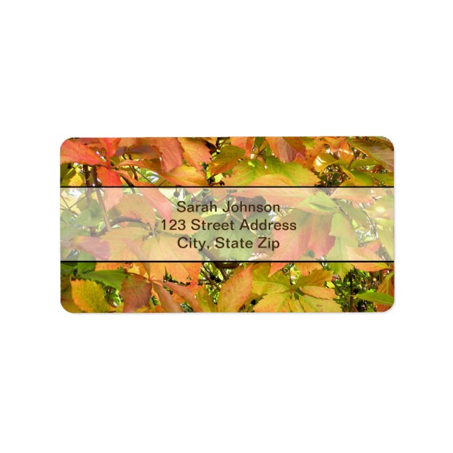 Étiquette Feuilles de la vigne sauvage d'automne (Devant)