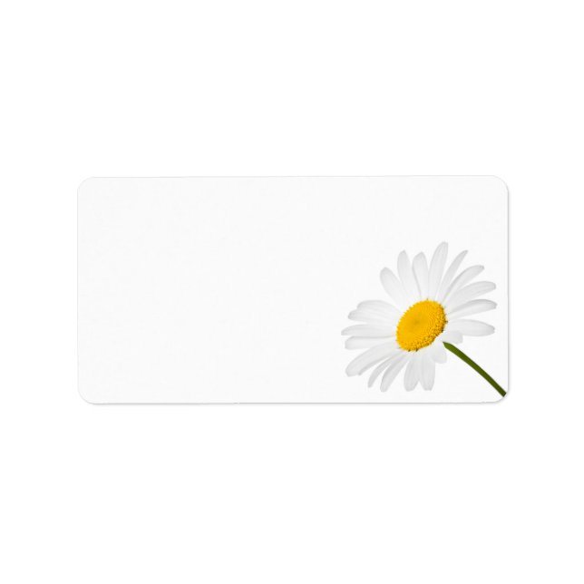 Étiquette Fleur Chamomile Isolé Sur Arrière - plan Blanc (Devant)