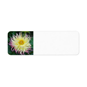 Étiquette Fleur Dahlia jaune