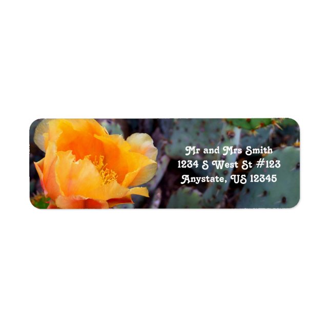 Étiquette Fleur de cactus de pricks orange Arizona USA (Devant)