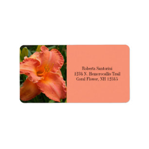 Étiquette Fleur de jour / Hemerocallis / Corail