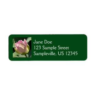 Étiquette Fleur de Lotus rose florissante été