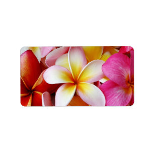 Étiquette Fleur de Plumeria mixte jaune rose