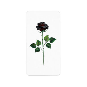 Étiquette Fleur de rose noire