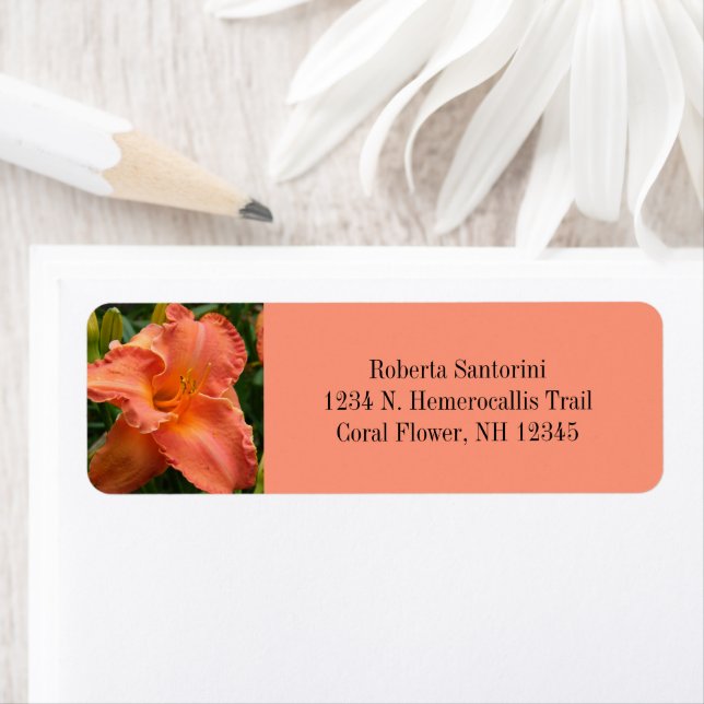 Étiquette Fleur diurne / Hemerocallis / Corail (En situation)