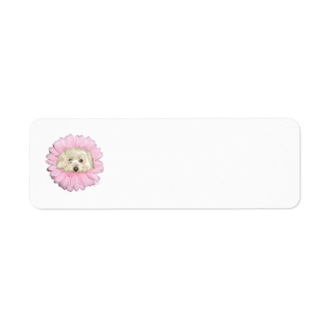 Étiquette Fleur printemps Coton de Tulear (Devant)