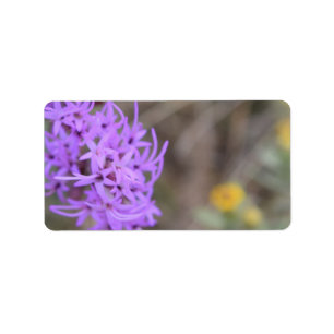 Étiquette Fleur sauvage de lavande