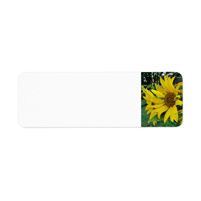Étiquette Fleurs de soleil (Devant)
