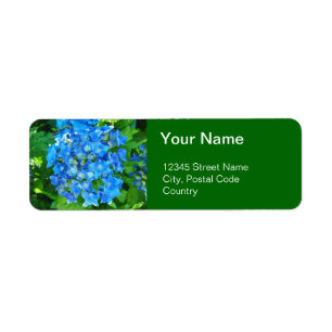 Étiquette fleurs d'hortensia bleues d'été et ses feuilles ve