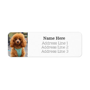 Étiquette Fluffy Brown Poodle Chien Chien Chien Retourner Ad