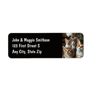 Étiquette Fun Group Chats Kittens Animaux Animaux Animaux