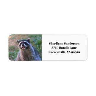 Étiquette Funny Raccoon photo