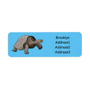 Étiquette Galapagos tortoise cartoon illustration