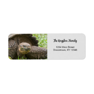 Étiquette Giant Turtle photo personnalisée Adresse de retour