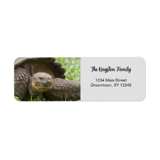 Étiquette Giant Turtle photo personnalisée Adresse de retour