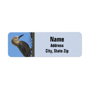 Étiquette Gila Woodpecker Photo Desert Southwest Bird