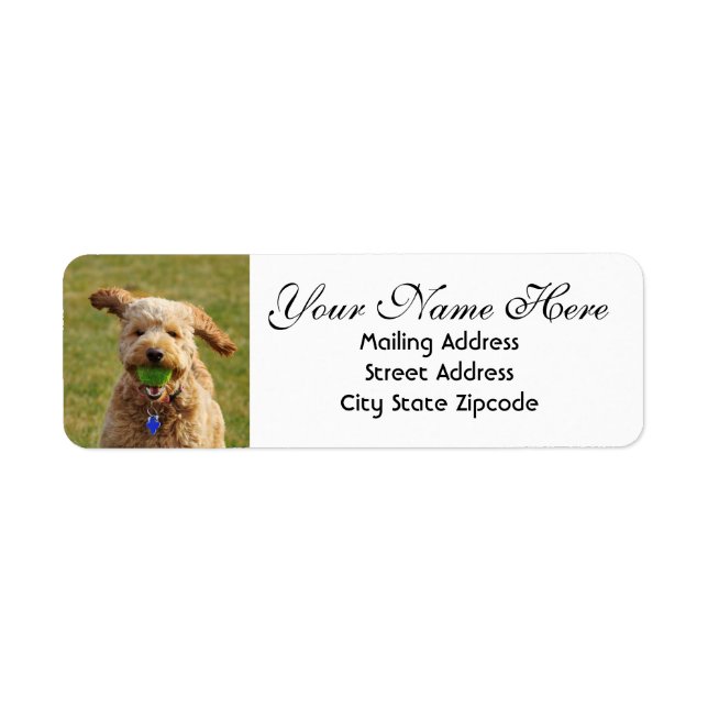 Étiquette Goldendoodle avec Ball Adresse de retour (Devant)