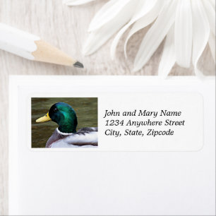 Étiquette Green Heed Mallard Duck Adresse de retour