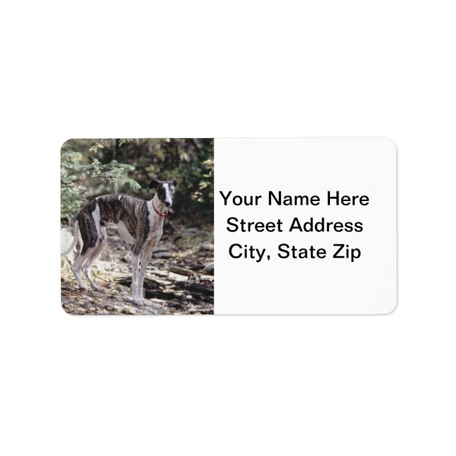 Étiquette Greyhound (Devant)